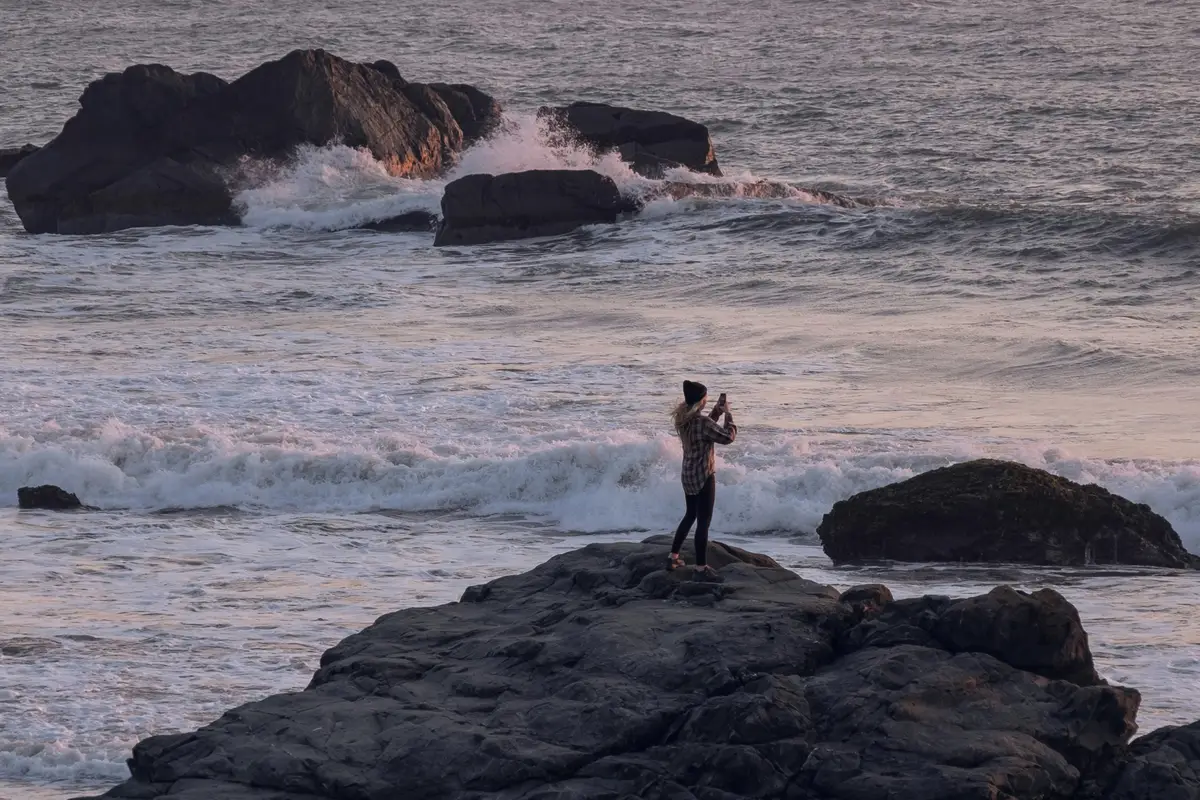 Certyfikacja GlobalGAP i ISO